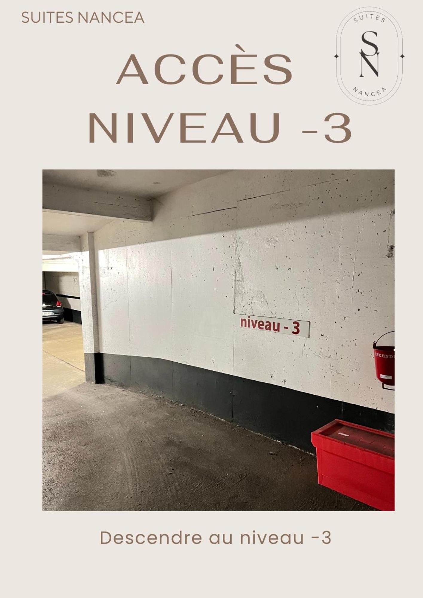 Vue Sur Le Palais - Nancy Gare Congres - Parking - T3 Exterior foto
